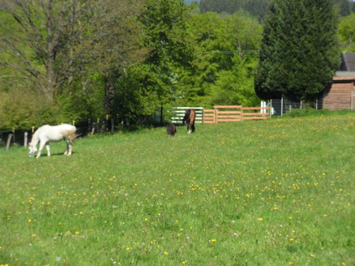 Nettes Landhaus Winterspelt Exteriör bild